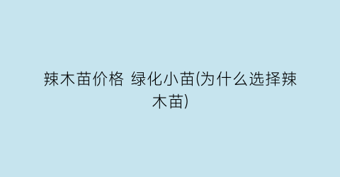 “辣木苗价格 绿化小苗(为什么选择辣木苗)